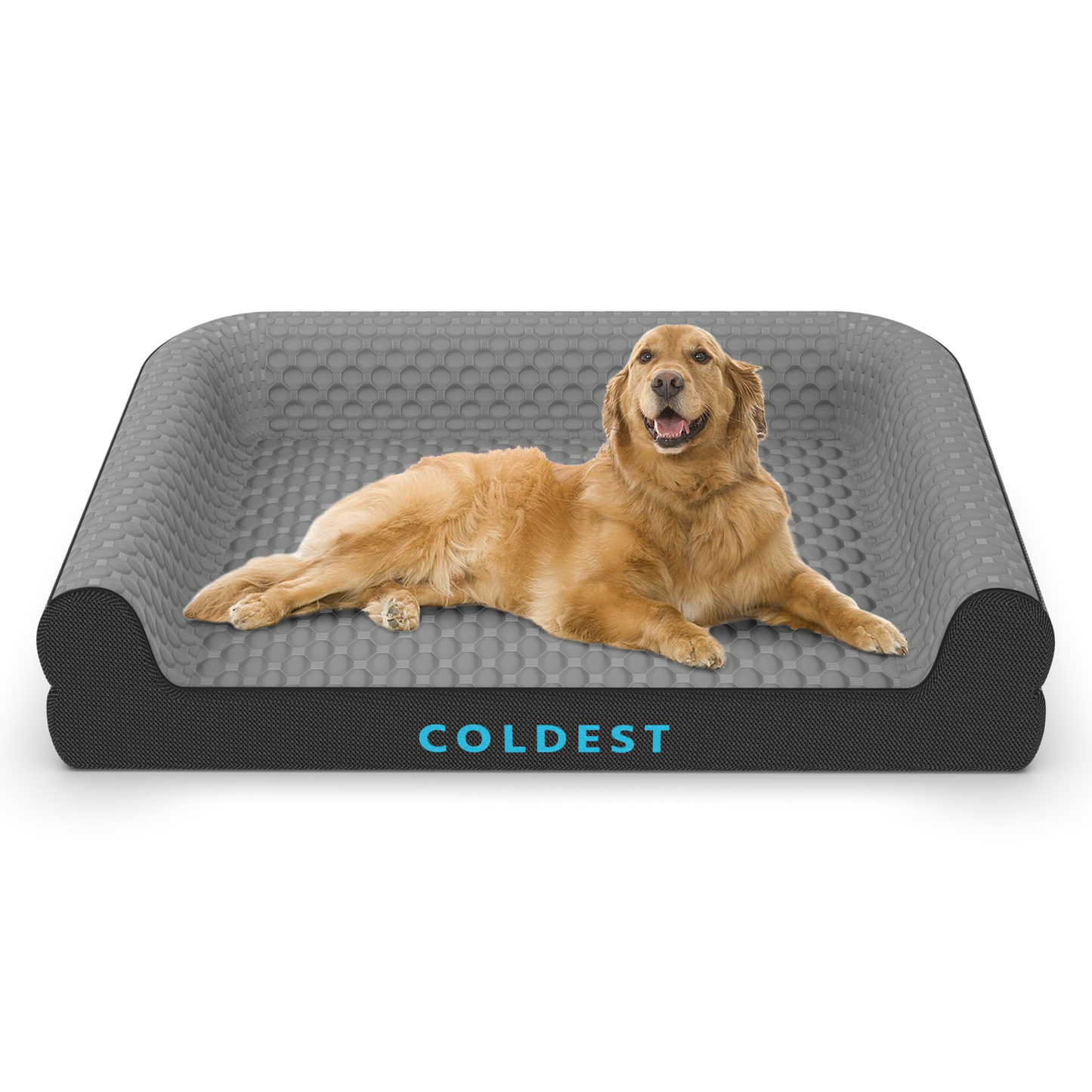 COLDEST DOG BED