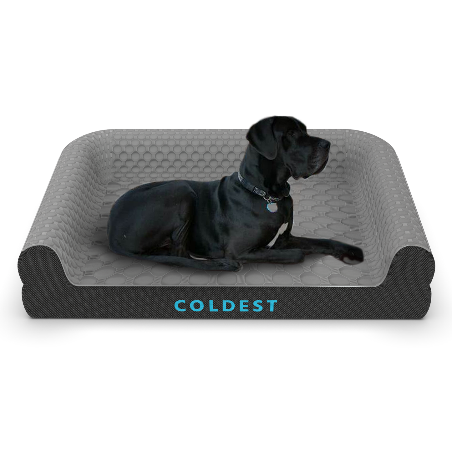 COLDEST DOG BED